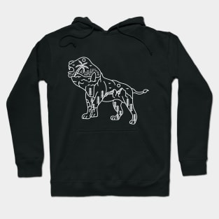 The Adventurous Lion 2 Hoodie